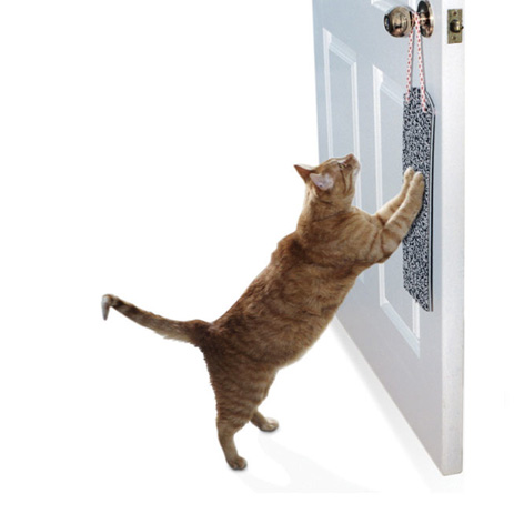 Door knob 2025 cat scratcher