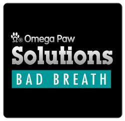 omega paw solutions